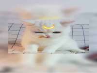 太湖鸿博家电维修有限公司