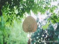 太湖鸿博家电维修有限公司