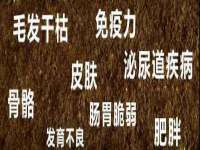 太湖鸿博家电维修有限公司