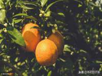 太湖鸿博家电维修有限公司