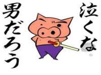 太湖鸿博家电维修有限公司