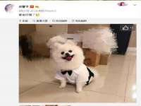 太湖鸿博家电维修有限公司