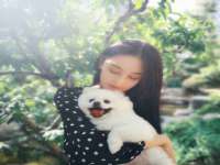 太湖鸿博家电维修有限公司