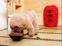 太湖鸿博家电维修有限公司