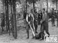 太湖鸿博家电维修有限公司