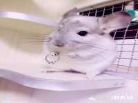 太湖鸿博家电维修有限公司