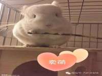 太湖鸿博家电维修有限公司