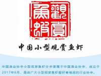 太湖鸿博家电维修有限公司