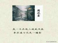 太湖鸿博家电维修有限公司