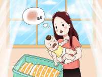 太湖鸿博家电维修有限公司