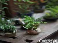 太湖鸿博家电维修有限公司