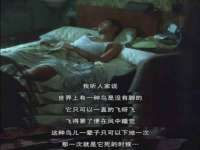 太湖鸿博家电维修有限公司