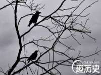 太湖鸿博家电维修有限公司