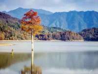 太湖鸿博家电维修有限公司