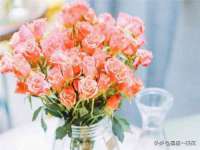 太湖鸿博家电维修有限公司
