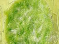 太湖鸿博家电维修有限公司