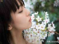 太湖鸿博家电维修有限公司