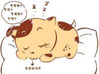 太湖鸿博家电维修有限公司