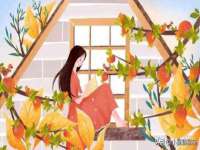 太湖鸿博家电维修有限公司