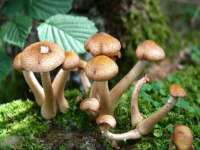 太湖鸿博家电维修有限公司