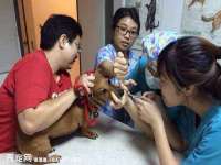 太湖鸿博家电维修有限公司