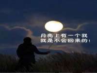 太湖鸿博家电维修有限公司