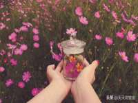 太湖鸿博家电维修有限公司