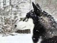 太湖鸿博家电维修有限公司