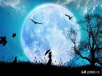太湖鸿博家电维修有限公司
