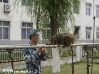 太湖鸿博家电维修有限公司
