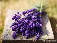 太湖鸿博家电维修有限公司