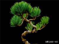 太湖鸿博家电维修有限公司