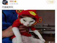 太湖鸿博家电维修有限公司