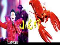 太湖鸿博家电维修有限公司