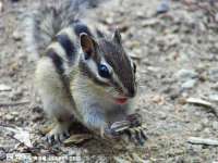 太湖鸿博家电维修有限公司