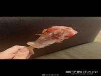 太湖鸿博家电维修有限公司