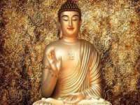 太湖鸿博家电维修有限公司